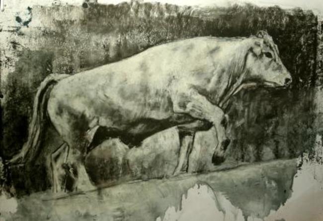 Bull Drawing 3