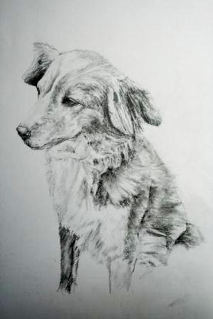 Bonny 3