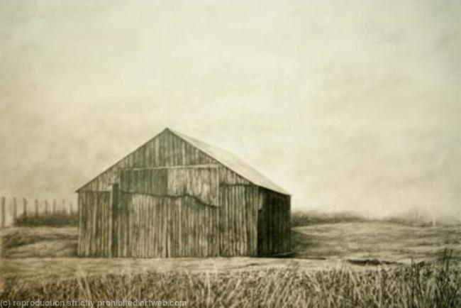 Wooden Barn, Shropshire, February 23rd, 11.45am