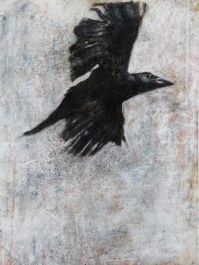 Crow flying