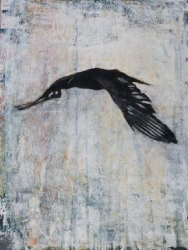 Crow flying 2