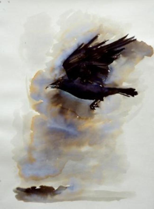 Crow 4, ink wash