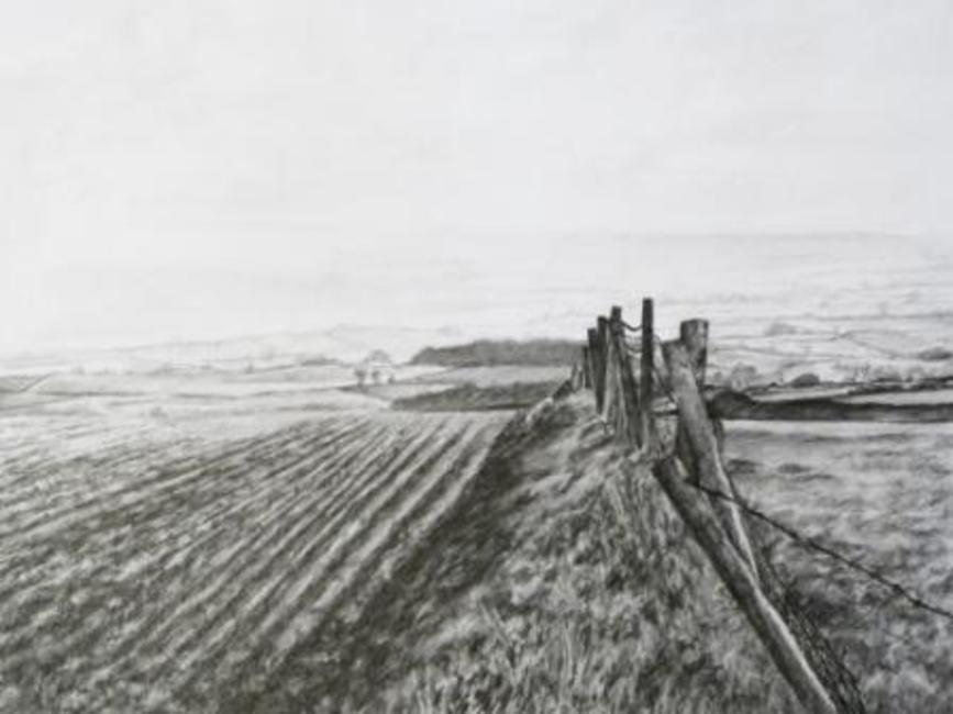 Ploughed field