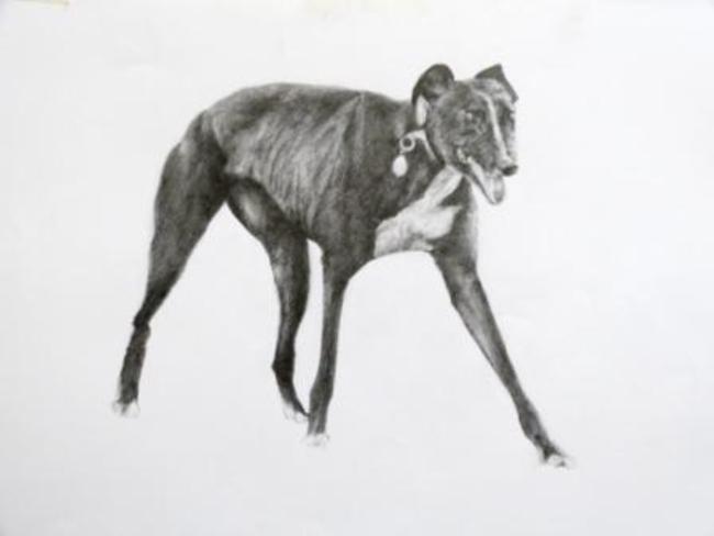 Greyhound 2