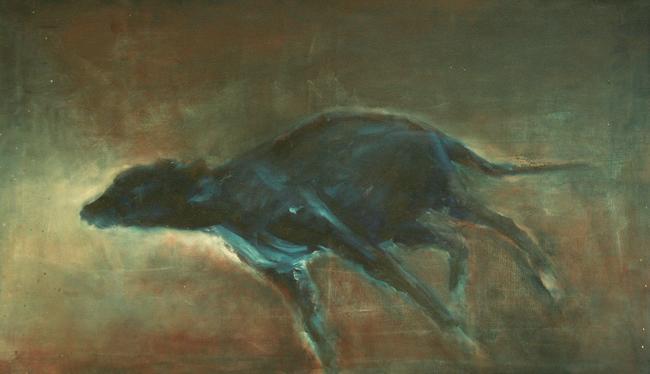 Blue Dog