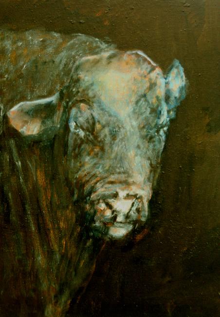 Bull Head