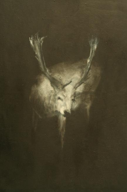 White Deer