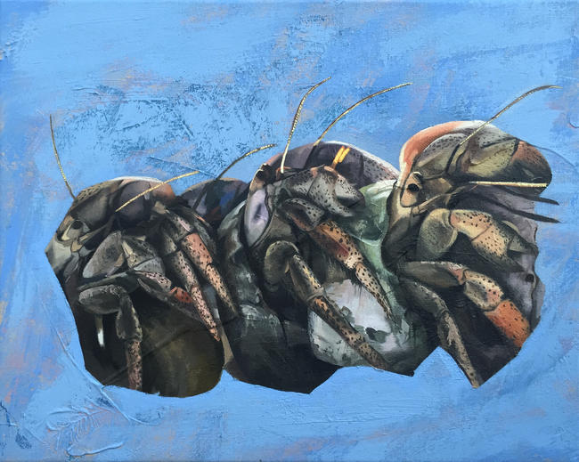 Hermit crabs