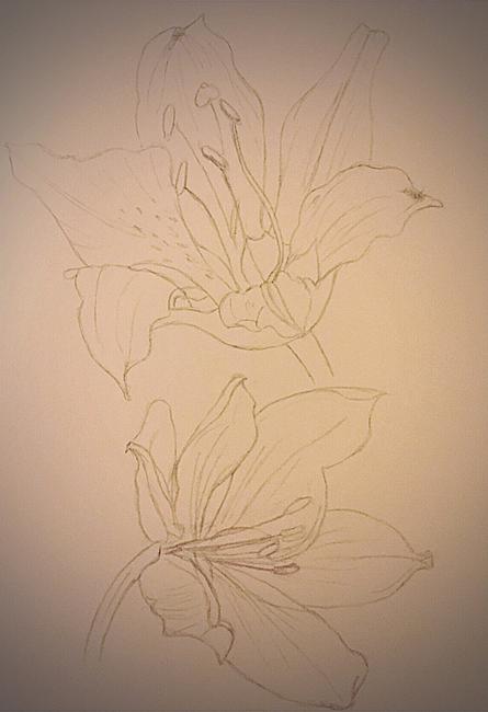 Flower study 1