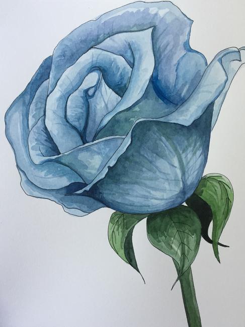 Blue rose
