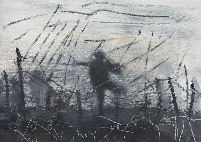 No-mans land Barbed wire