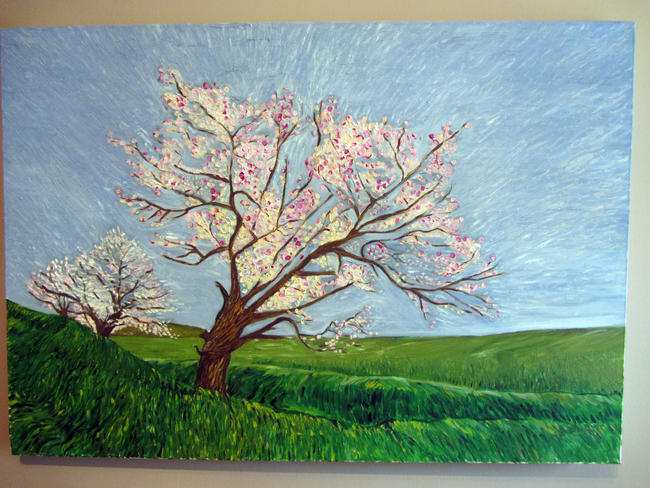 Cherry Blossom