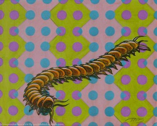 Centipede