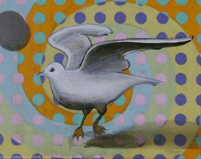 Seagull