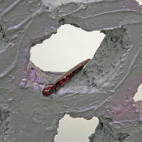Lacks, (detail) the duchy gallery