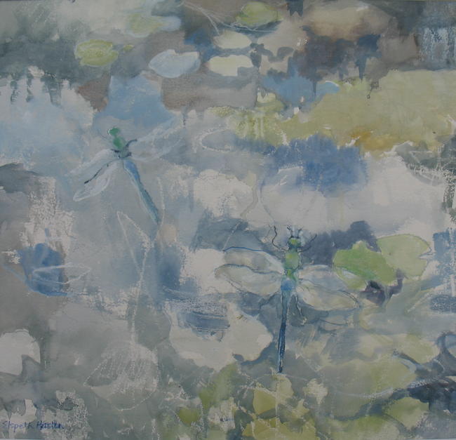Dragonfly Pond