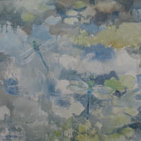 Dragonfly Pond