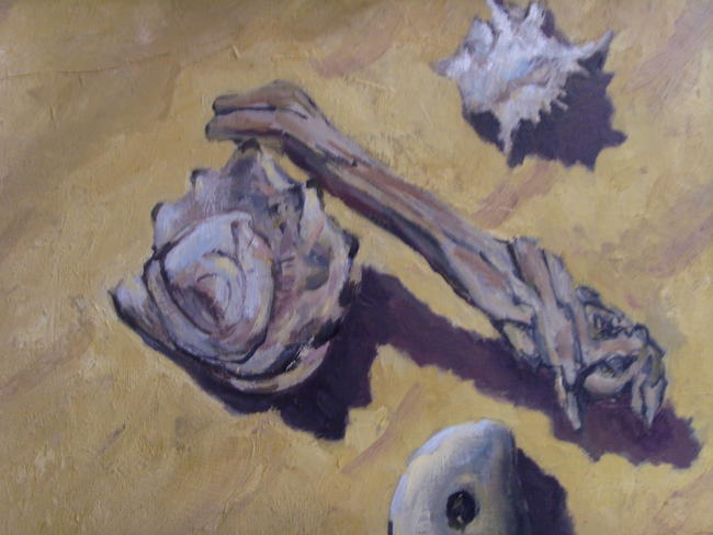 Wood and Shell