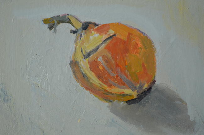 Onion on Grey