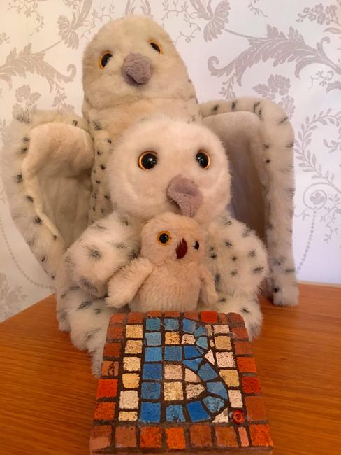 Owls
