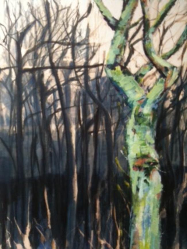 Dinvin wood
