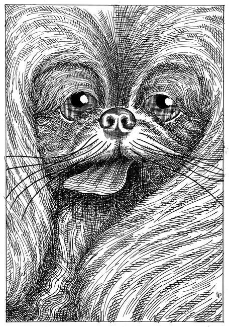 The Puppy Panting