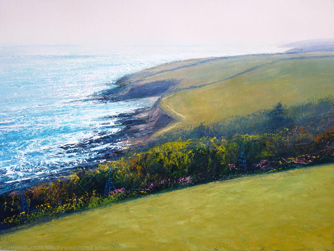 'Driftwood Dreaming'