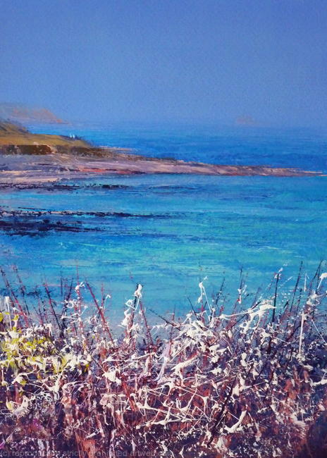 'Towan Beach Summer Blues'