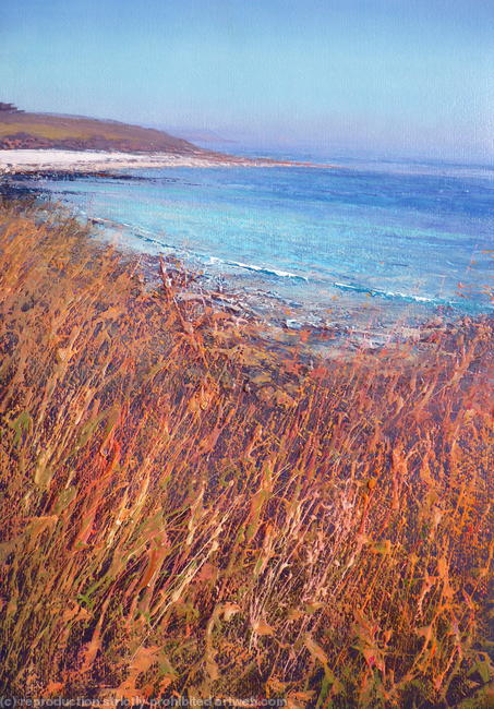 'South Coast, Towan Beach'