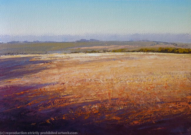 'Fields of Gold'