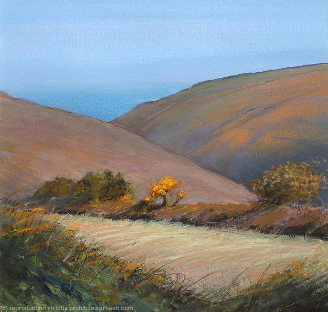 'Chapelporth Valley' 04