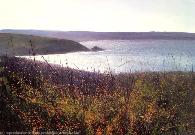 'Bright Light' 05