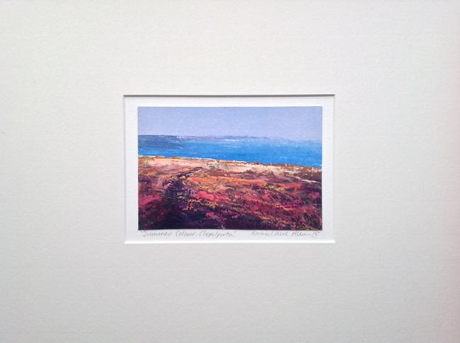 Summer Colour, Chapelporth