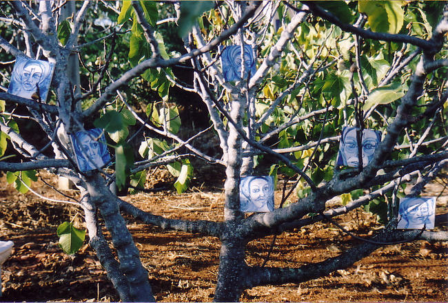 women in trees