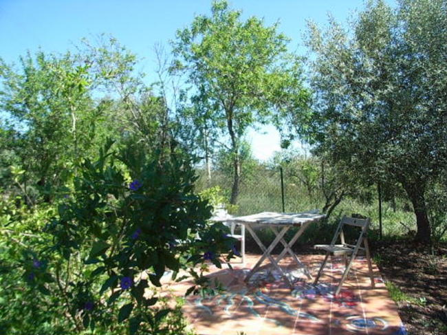 garden