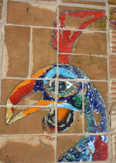 gallo