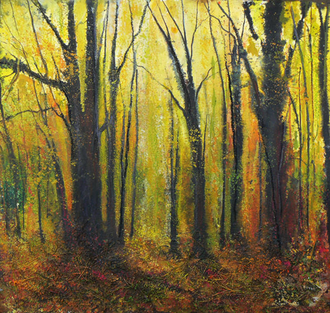 Autumn Colour