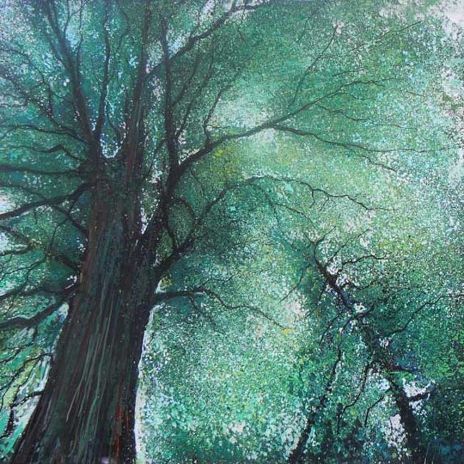 Canopy