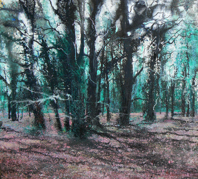 Winterwoods