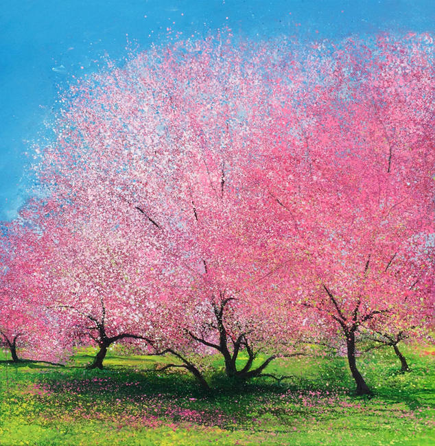 Blossom Pinks