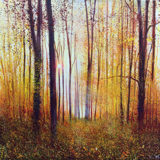 OCTOBER COLOUR