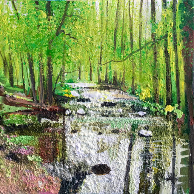 Woodland Stream Day 46