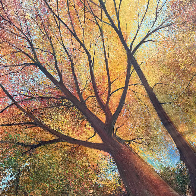 CANOPY