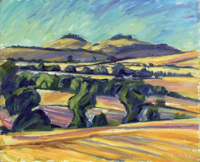 Wittenham Clumps, 2007