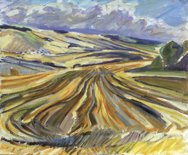 Rushing Stubble 2007.jpg