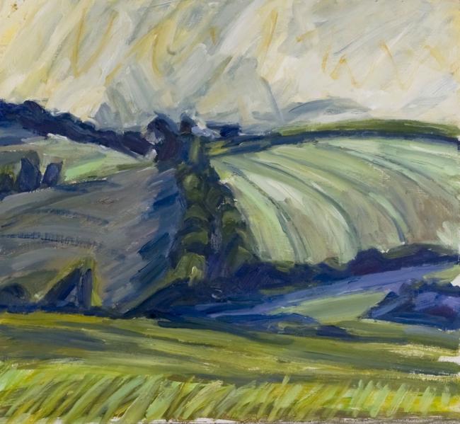 Bright sky and green fields