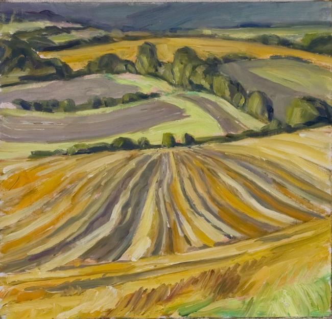 Stubble field and new wheat