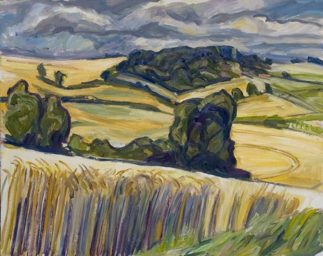 Wheat fields and tree