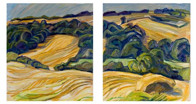 Square field (left and right)