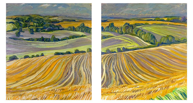 Stubble field and new wheat (left and right)